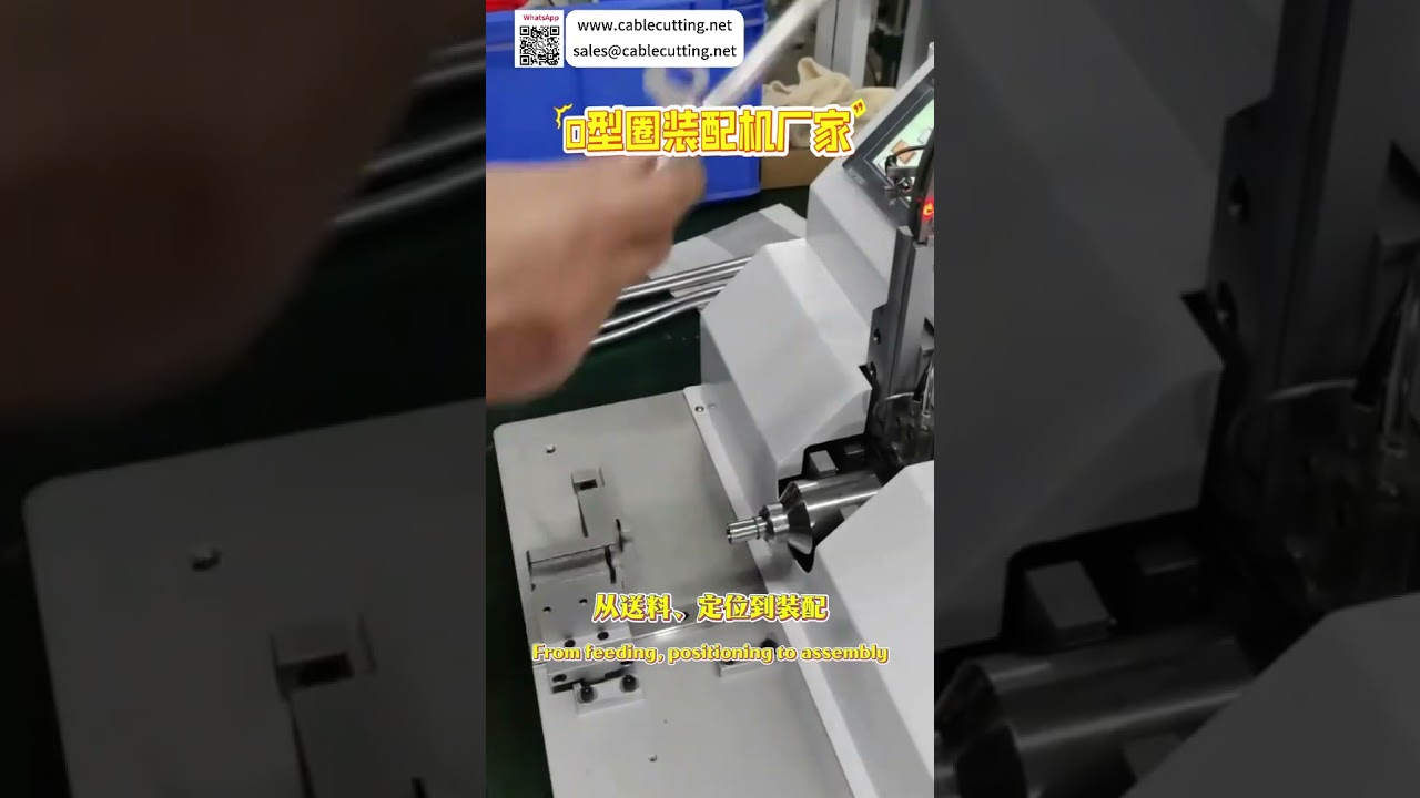 Automatic O Ring Assembly Machine High Efficiency Sealing Ring Custom Equipment Supplier - Shorts